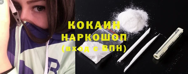 кокс Богородицк