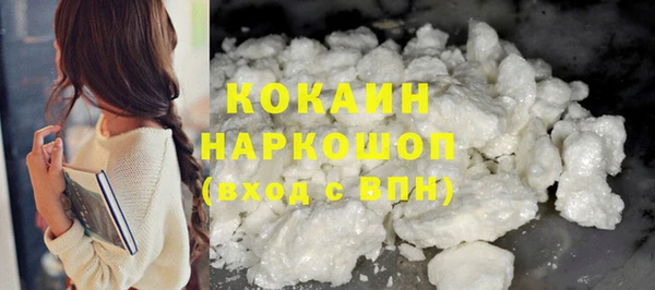 кокс Богородицк